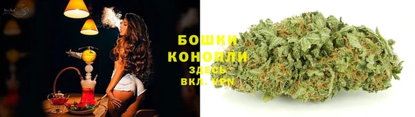 гашик Магадан