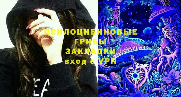 твердый Медвежьегорск