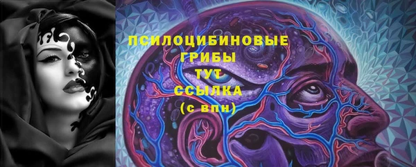 твердый Медвежьегорск